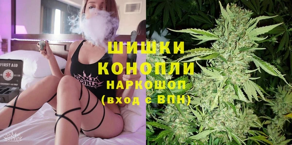 стаф Верхний Тагил