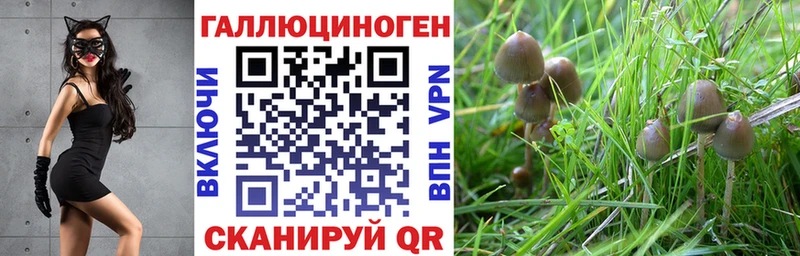 Купить закладки  Кирово-Чепецк  Галлюциногенные грибы мухоморы 